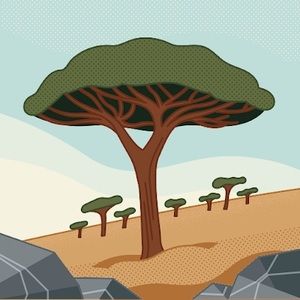 Meet your Posher, Lucas